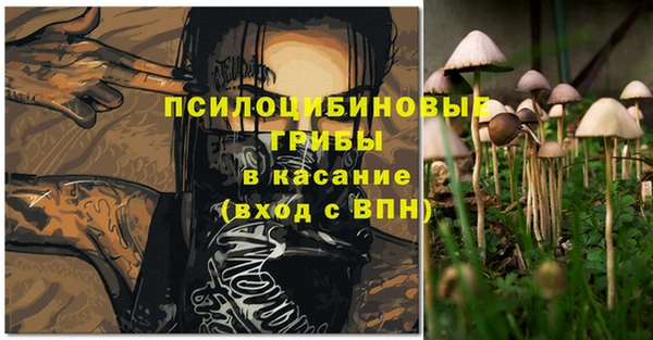 ГАЛЛЮЦИНОГЕННЫЕ ГРИБЫ Баксан
