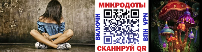 Псилоцибиновые грибы Psilocybe  Кубинка 